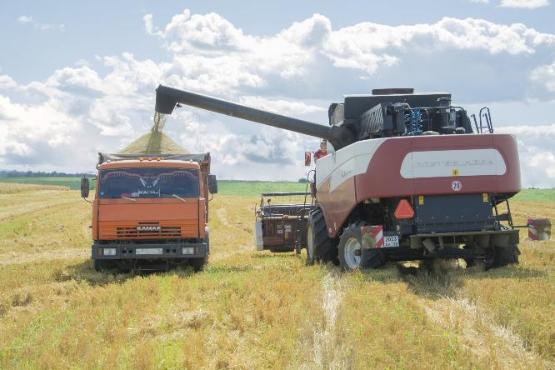 СПК «Окинский» приступил к уборке зерновых